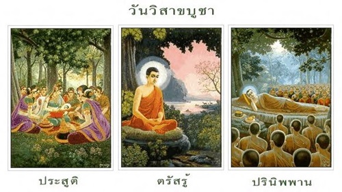 55